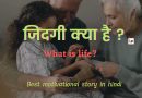जीवन क्या हैं ? Motivational Story In Hindi